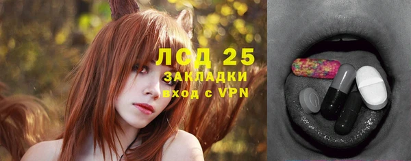 ГАЛЛЮЦИНОГЕННЫЕ ГРИБЫ Алексин