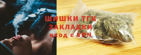 ГАЛЛЮЦИНОГЕННЫЕ ГРИБЫ Алексин