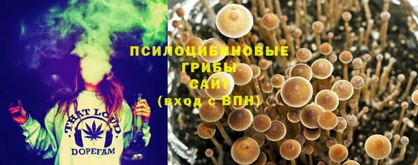 ГАЛЛЮЦИНОГЕННЫЕ ГРИБЫ Алексин