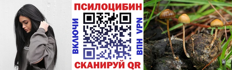 hydra зеркало  Наволоки  Галлюциногенные грибы GOLDEN TEACHER  что такое  